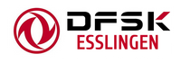 Logo von DFSK Esslingen dem Partner von EKZ